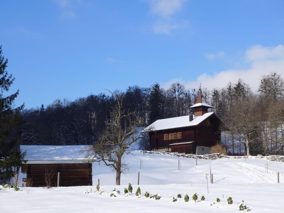 Apartment Oltschiblick By Interhome Brienzwiler Exterior foto